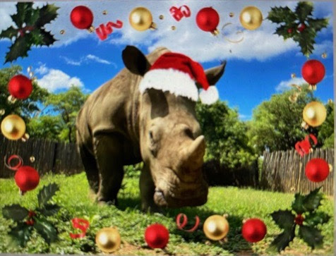 Funktional fitness academy Kerst neushoorn Funktional fitness academy Kerst neushoorn